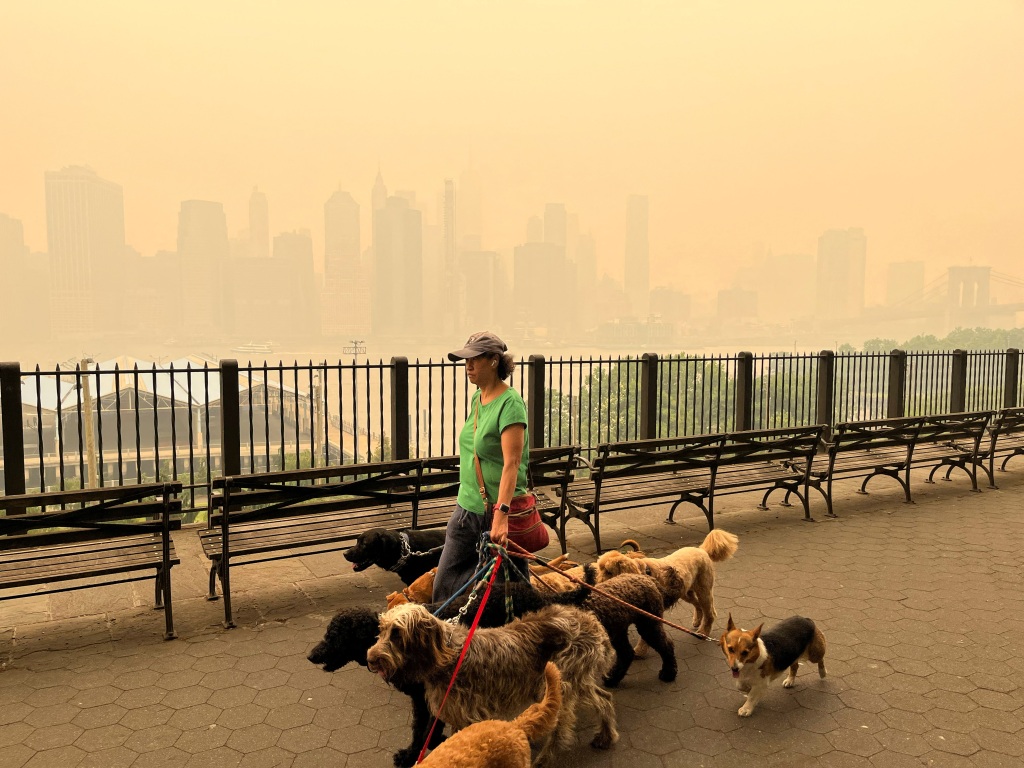 A person walks dogs along the Brooklyn promenade Wednesday as the Manhattan skyline is shrouded in haze after smoke billows south from wildfires in Canada.